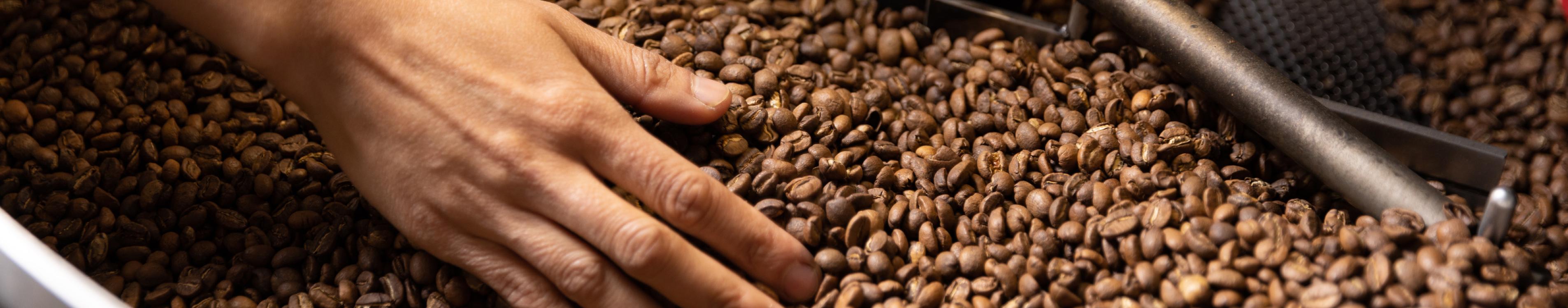 A hand reaches into a pile of roasted coffee beans.