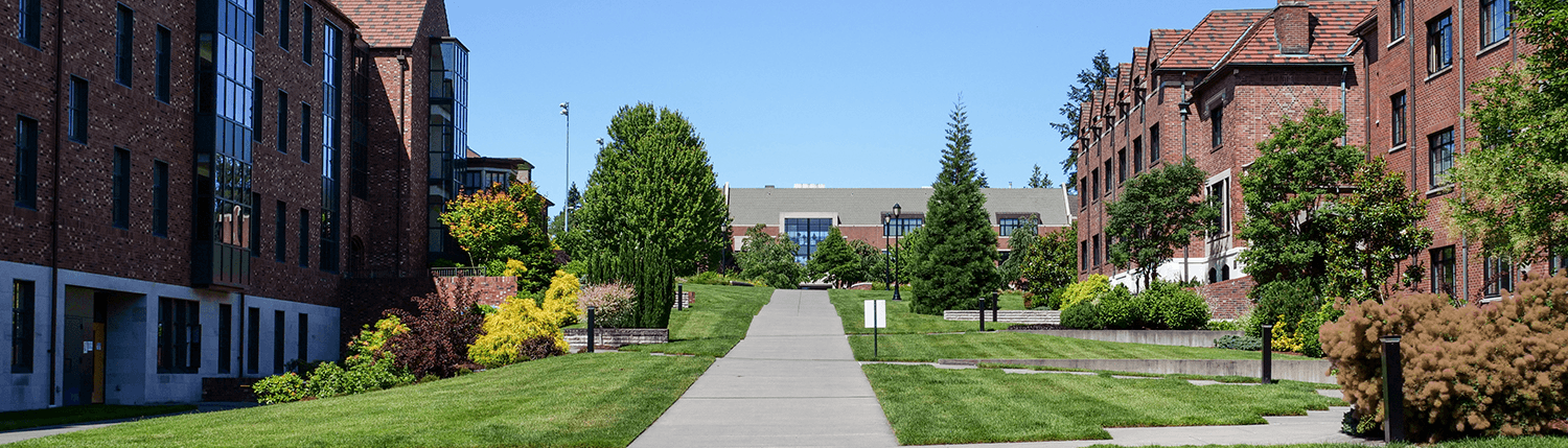 Image of the pathway towards Wyatt.