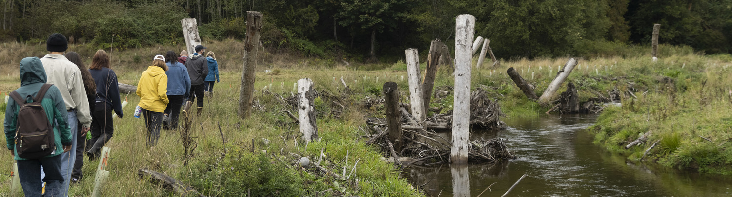 Students visit a new salmon habitat restoration site with engineered logjams