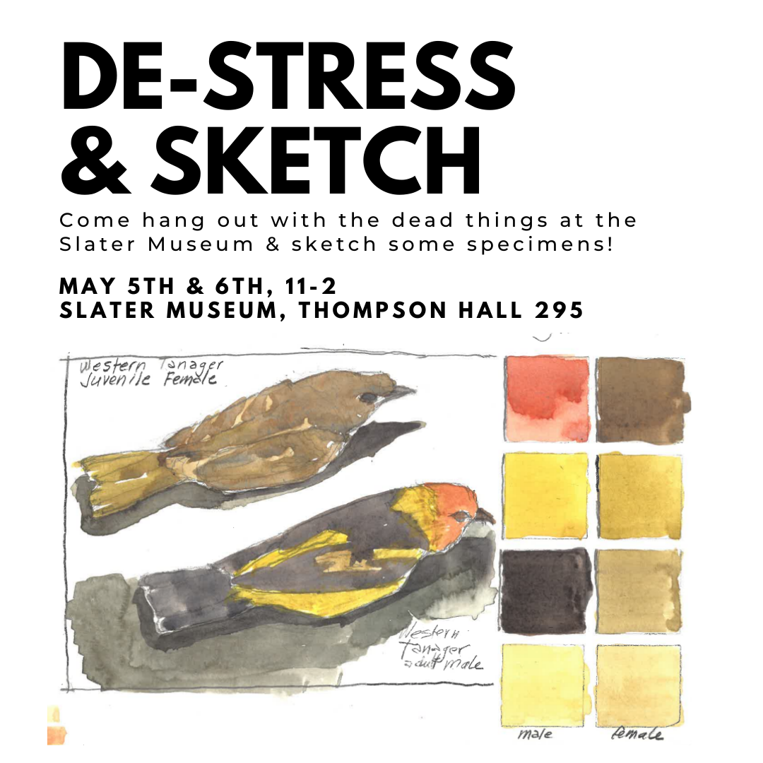 De-stress & sketch poster