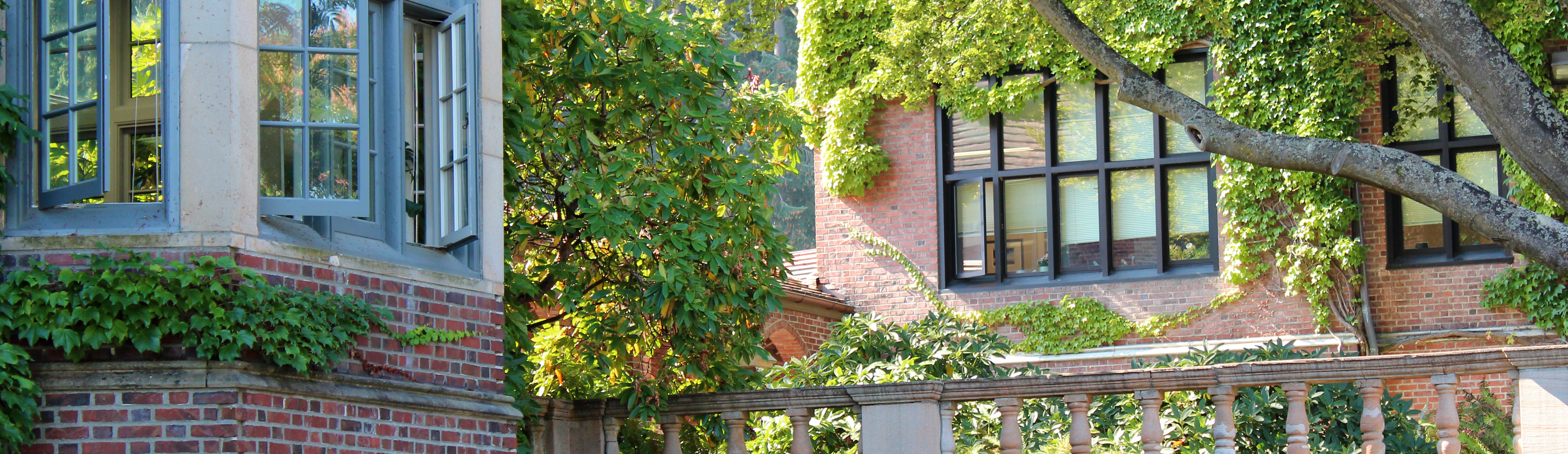 Bricks and ivy on campus buildings