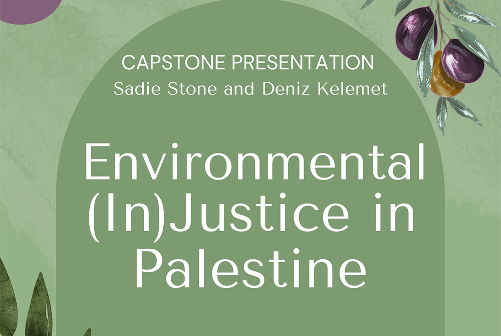 Environmental (In) Justice in Palestine