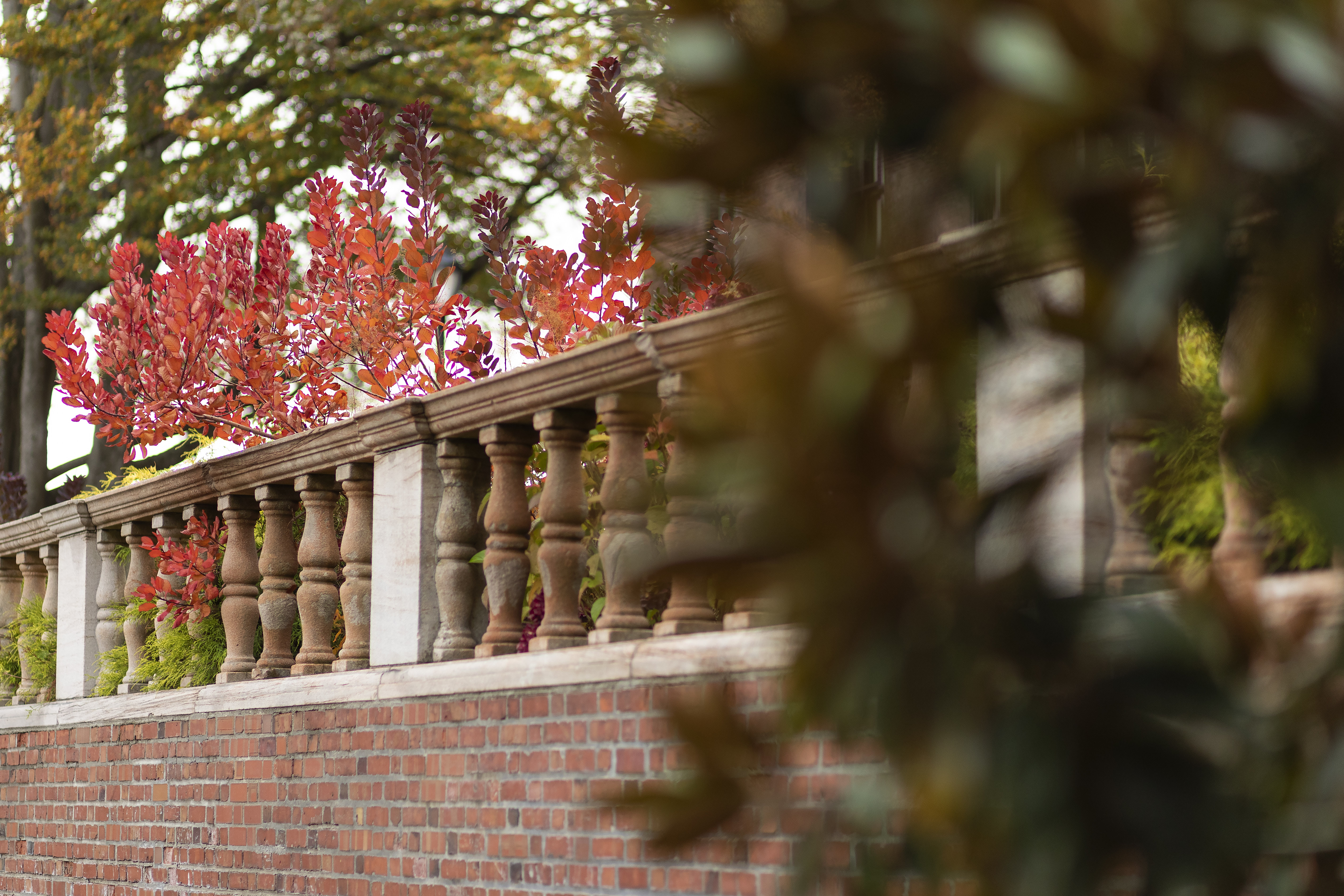 Building columns in a row with red leaves in the background. 