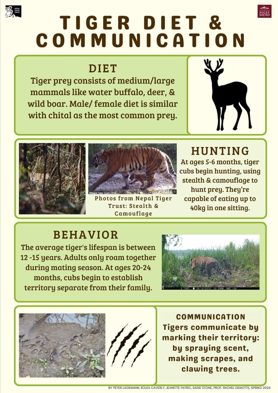 Poster about tiger diet and communication.