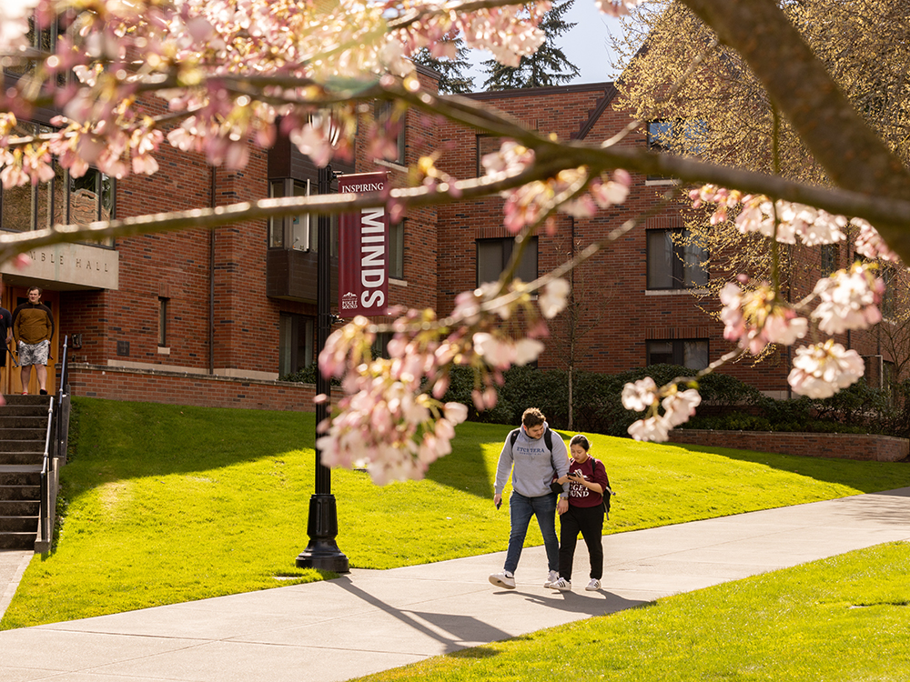 Students walk near Trimble Hall while the cherry blossoms are in bloom.