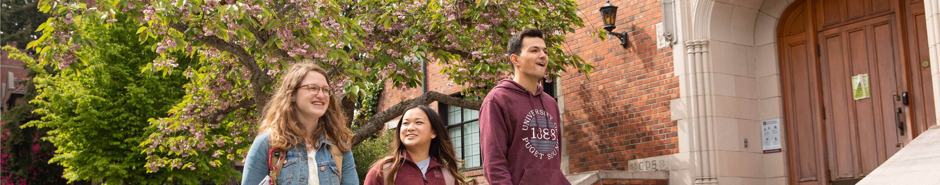 Students walking on campus