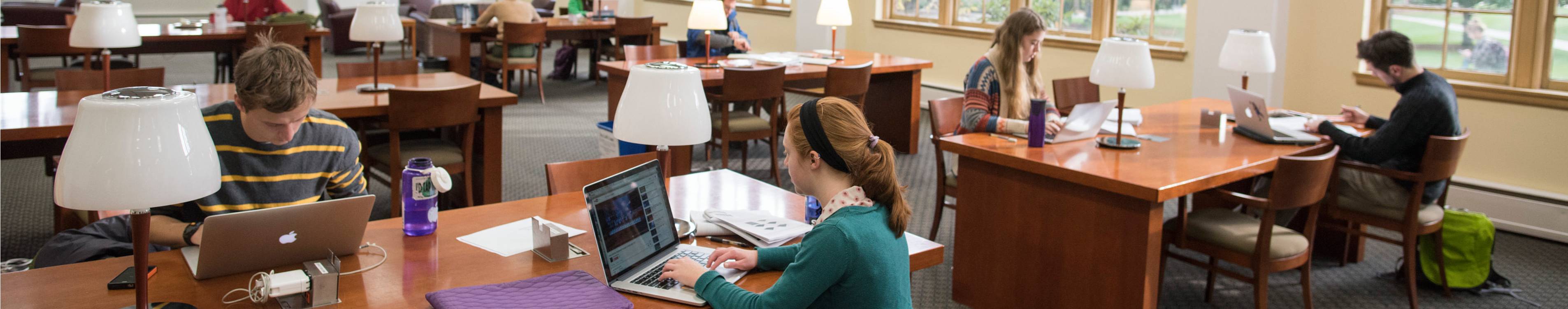 Students working in the library