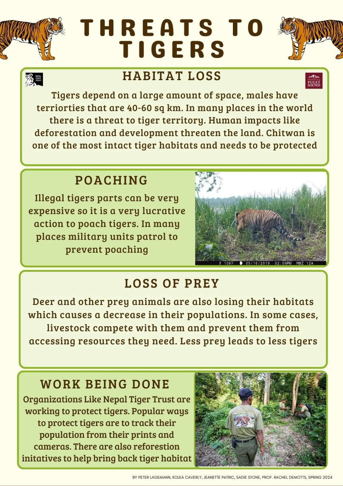 Poster describing threats to tigers.