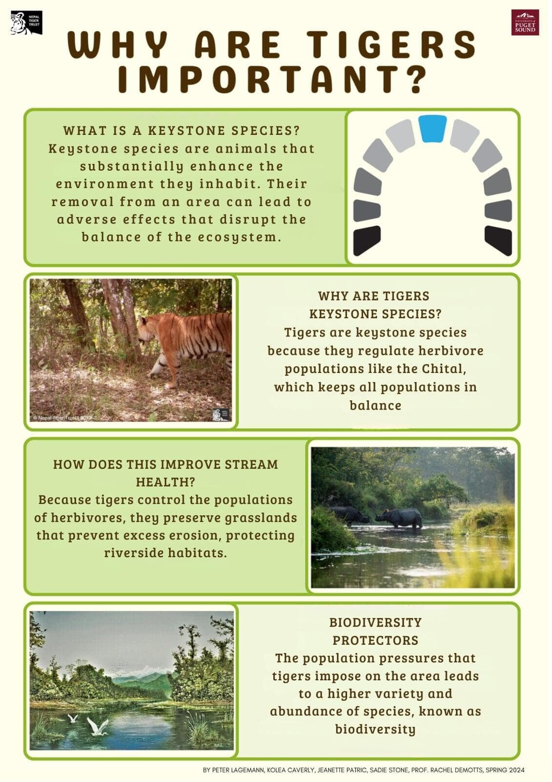 Poster describing the importance of tigers to the local ecosystem.