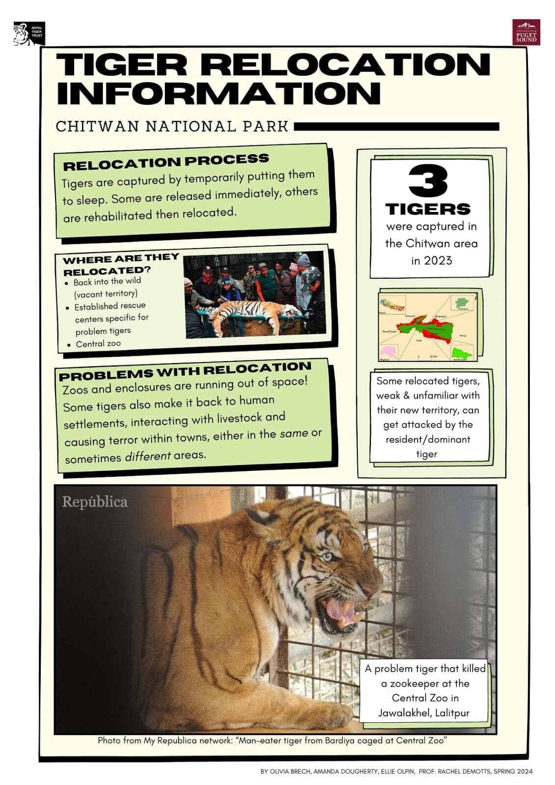 Poster about tiger relocation efforts.