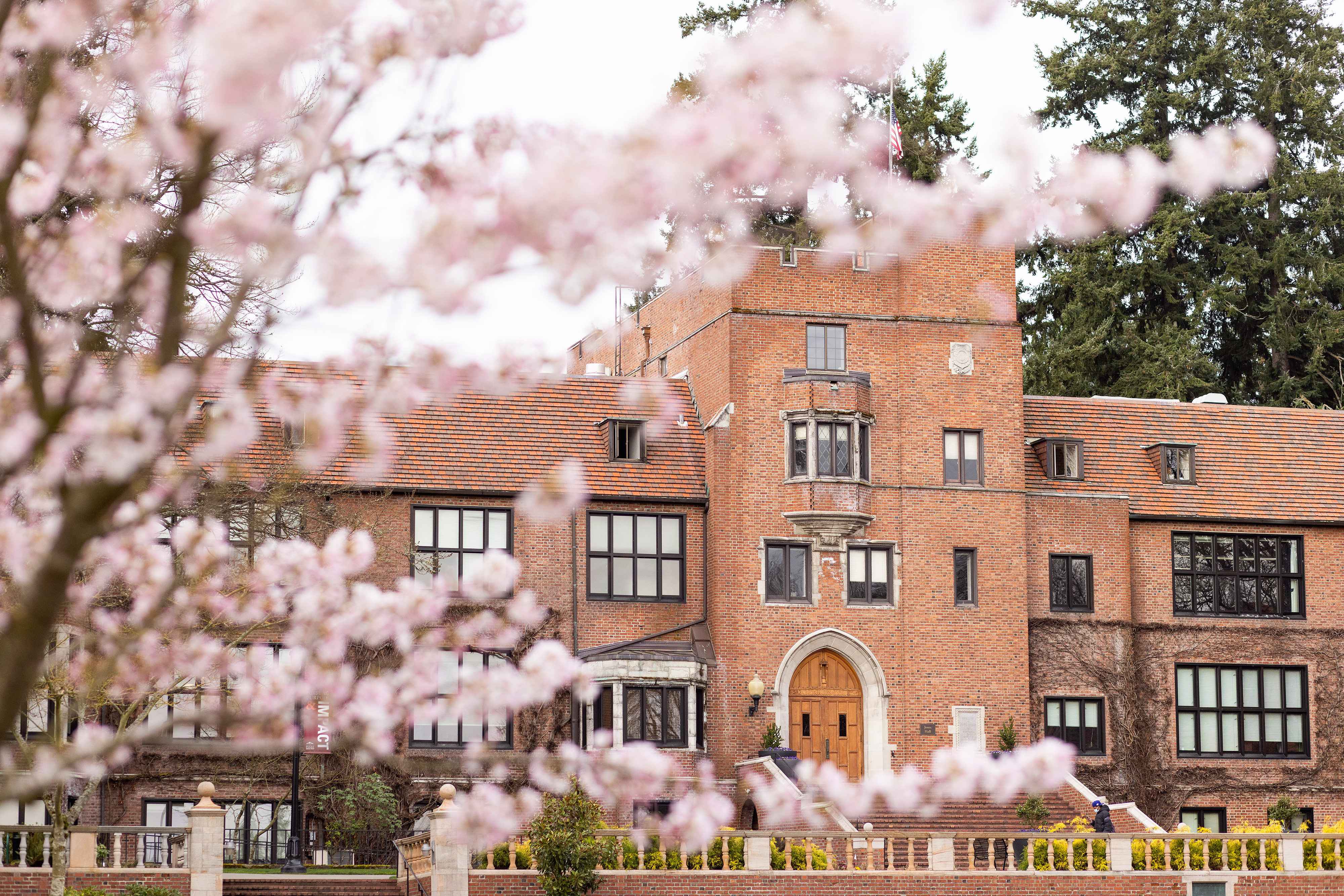 Cherry blossoms in front of campus building