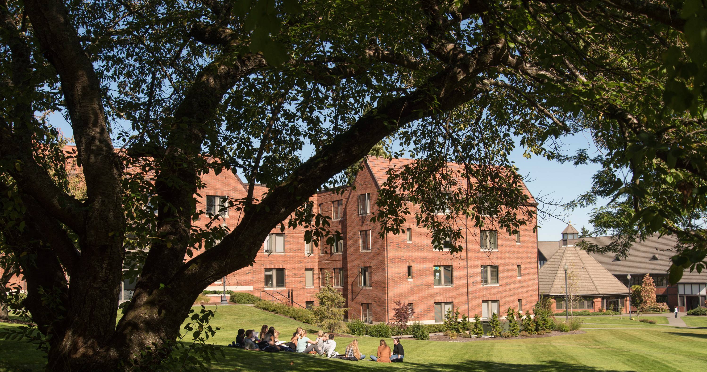 Students studying outside Trimble Hall on South Quad