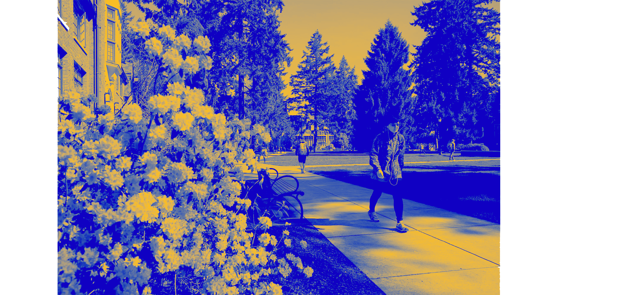 A student walking on campus (yellow overlay)