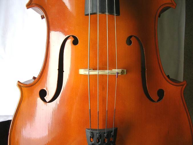 lrg_cello-closeup-pd-aug-14.jpg