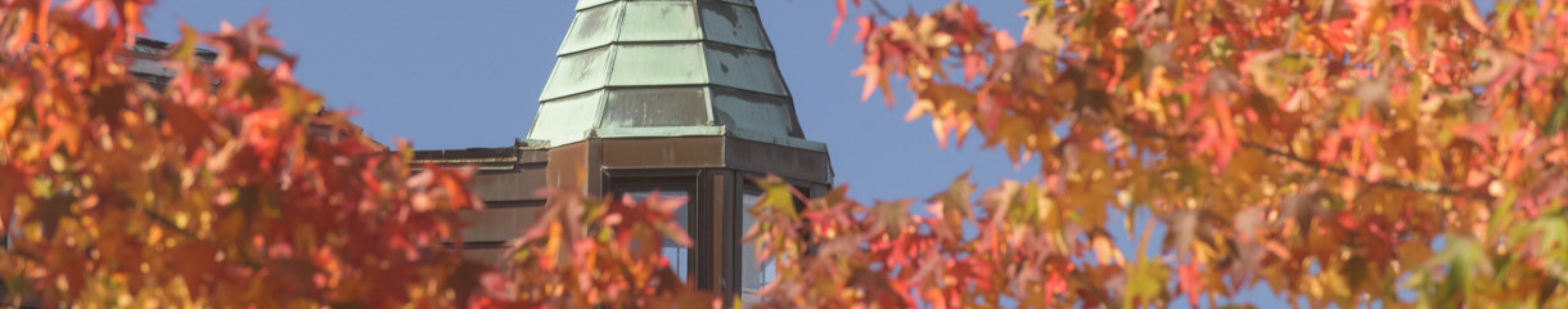 Fall trees and rooftop tower skyline view
