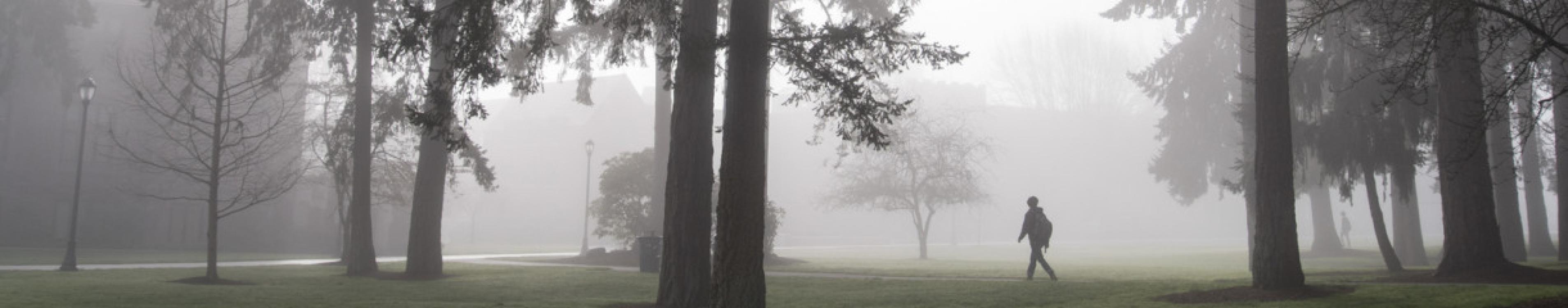 Person walking along a path on a foggy day