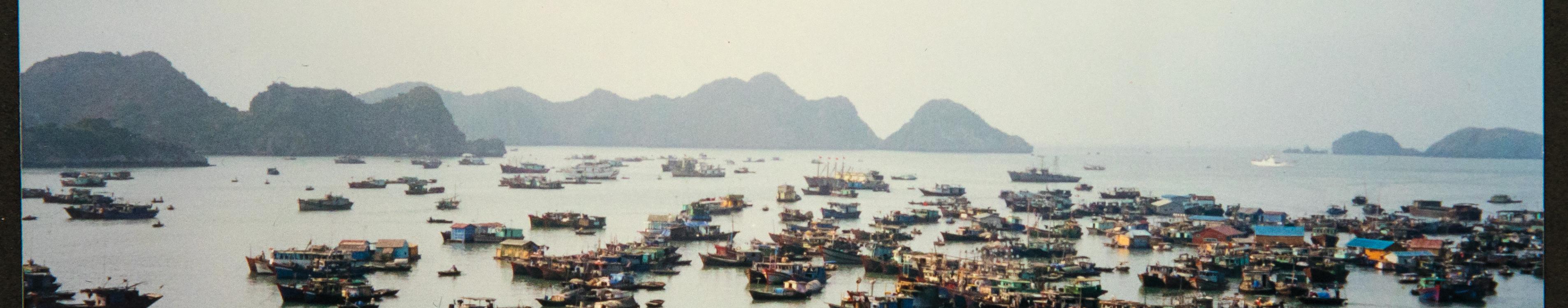 Small fishing boats anchored in harbor