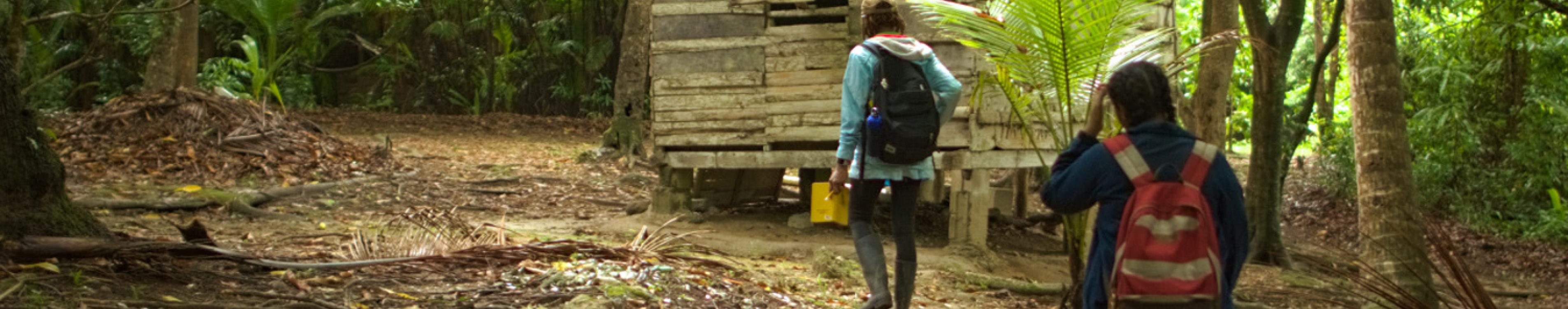 People walking in a forest jungle