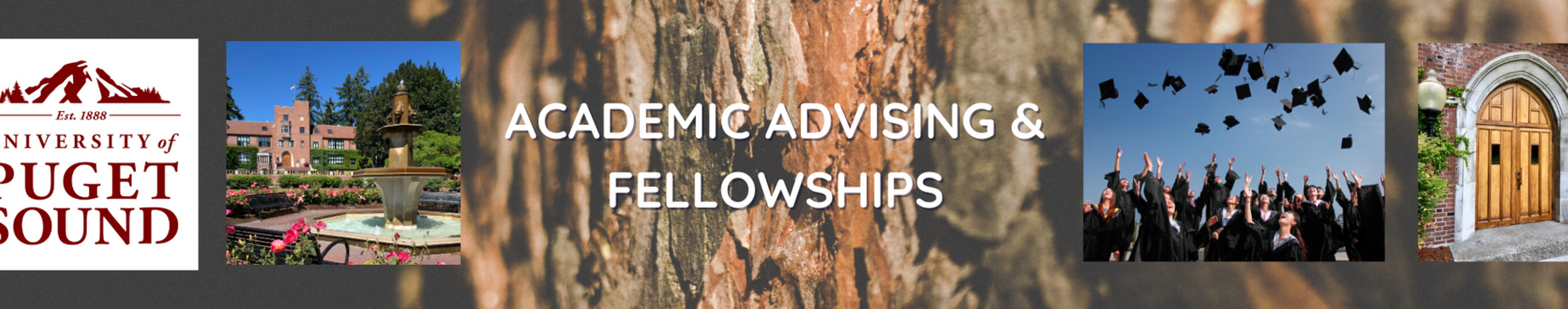 Academic Advising Banner with images