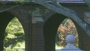 Brick building arches