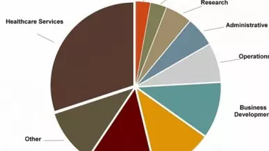 Pie chart showing career paths