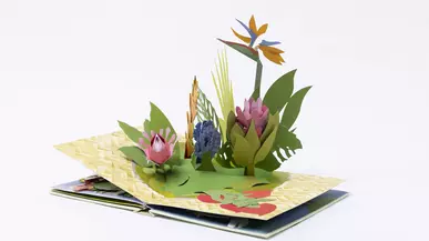 Pop-up book interior