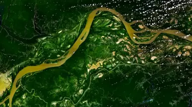 lrg_amazon-river-pd-nasa-software-mar-15.jpg