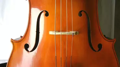 lrg_cello-closeup-pd-aug-14.jpg