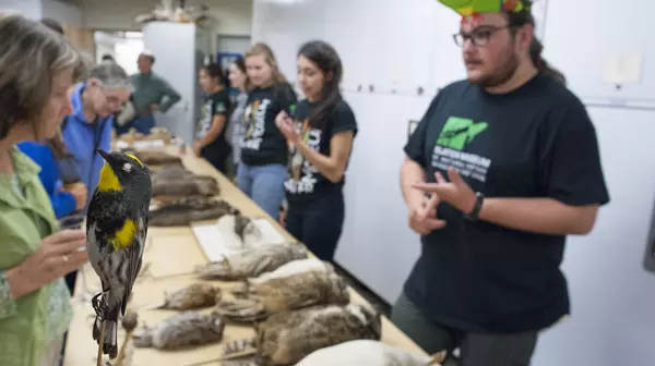 Students working as docents for Slater Museum