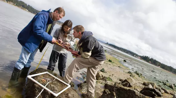 Taking samples at a marine site