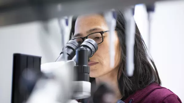 Jung Kim looks through a microscope