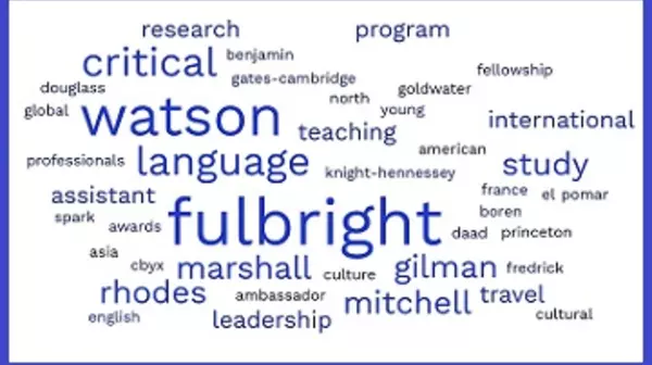 Fellowships Blue word cloud