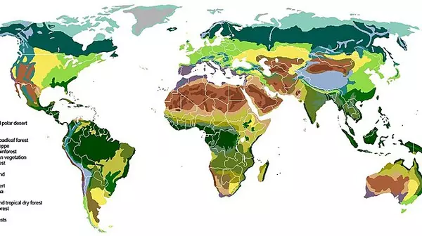 biomes