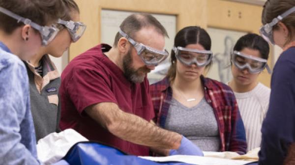 Prof. McCall works with students on a human cadaver in the anatomy lab.