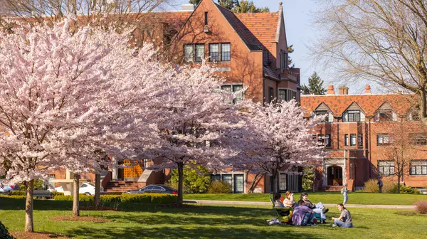 Students sitting outside buildings
