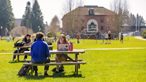 Students studying on picnic benches in a green field.