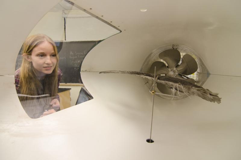 Physics student studying a wind tunnel