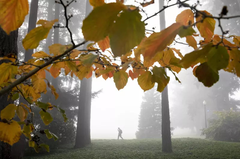 A layer of fog covers campus Wednesday morning.