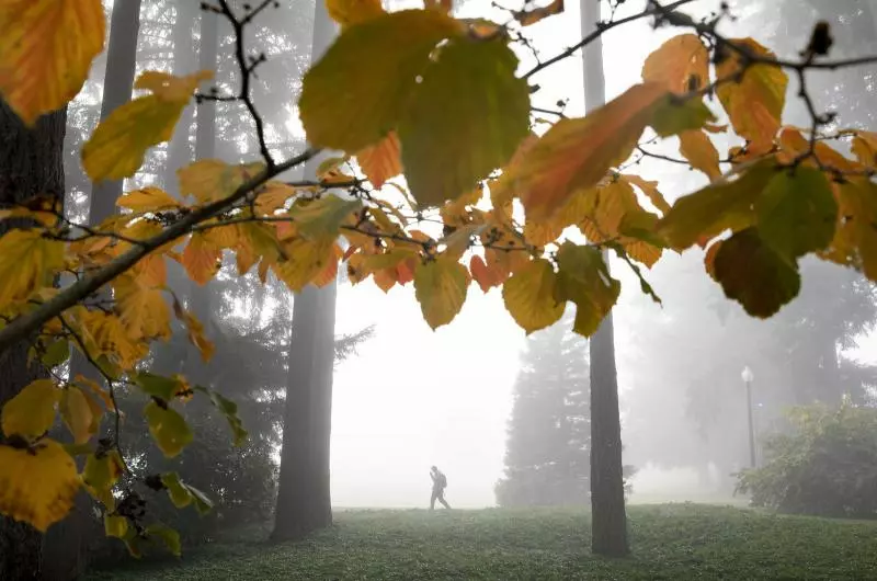 Student walking on campus