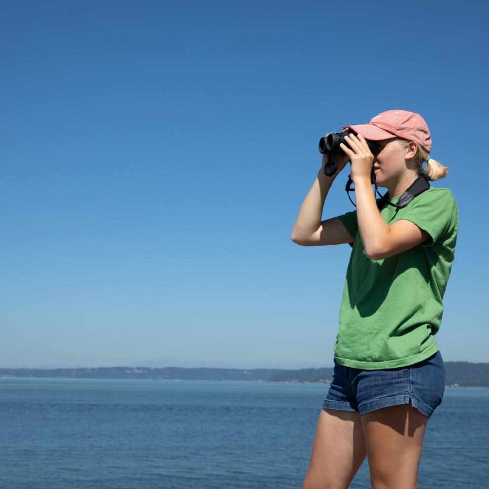 A student studies endangered marbled murrelets in the South Sound.