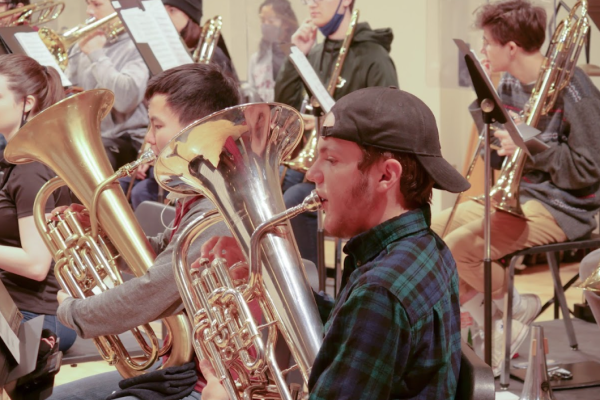 Brass section musicians