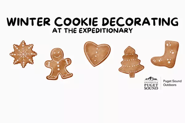 Winter Cookie Decorating