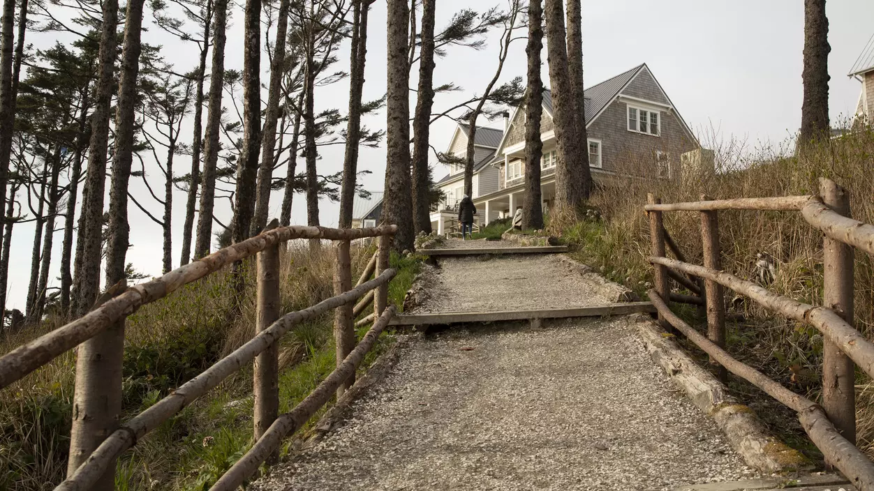 Path leading up to a house