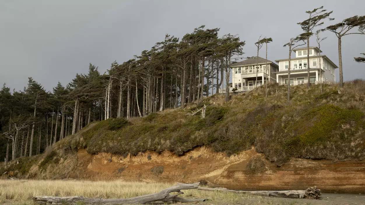 Houses on a hill overlooking the water