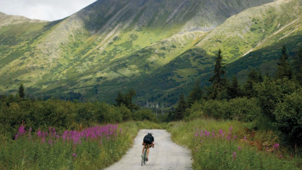 Person riding a bike on a beautiful mountain path surrounded by wildflowers