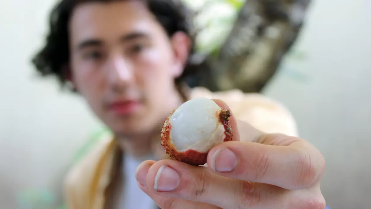 A person holding up a piece of fruit