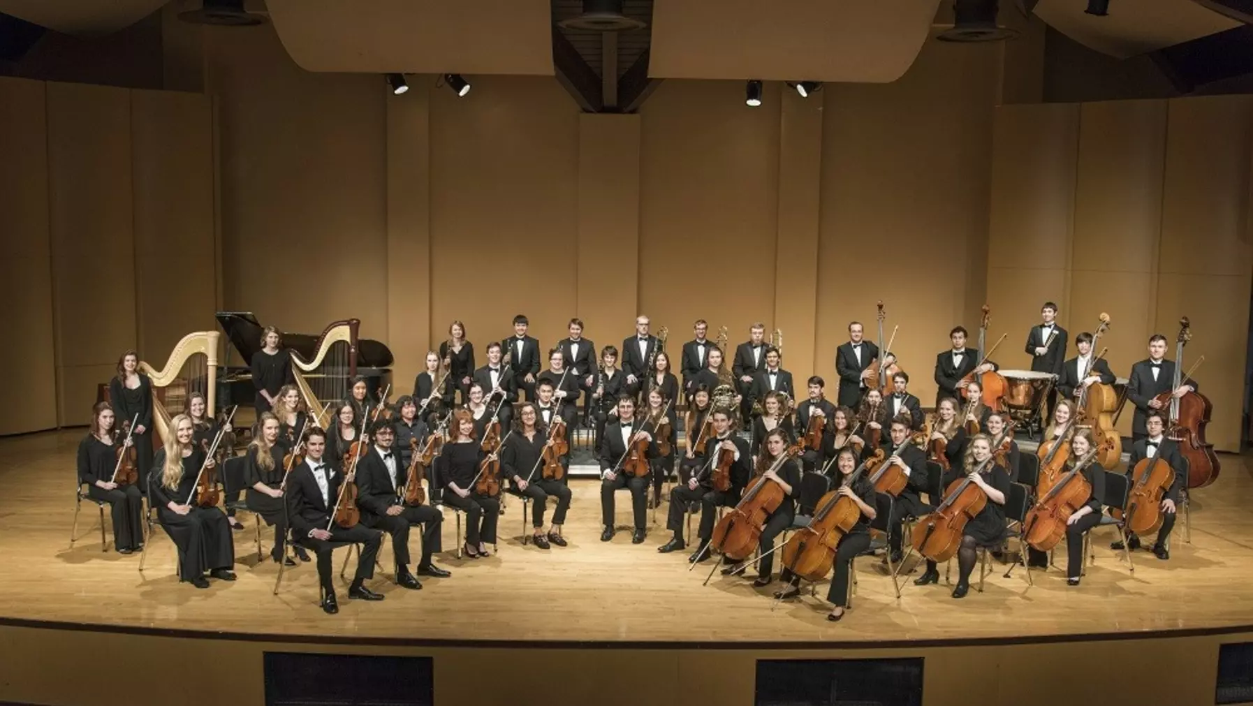 Orchestra performers on stage