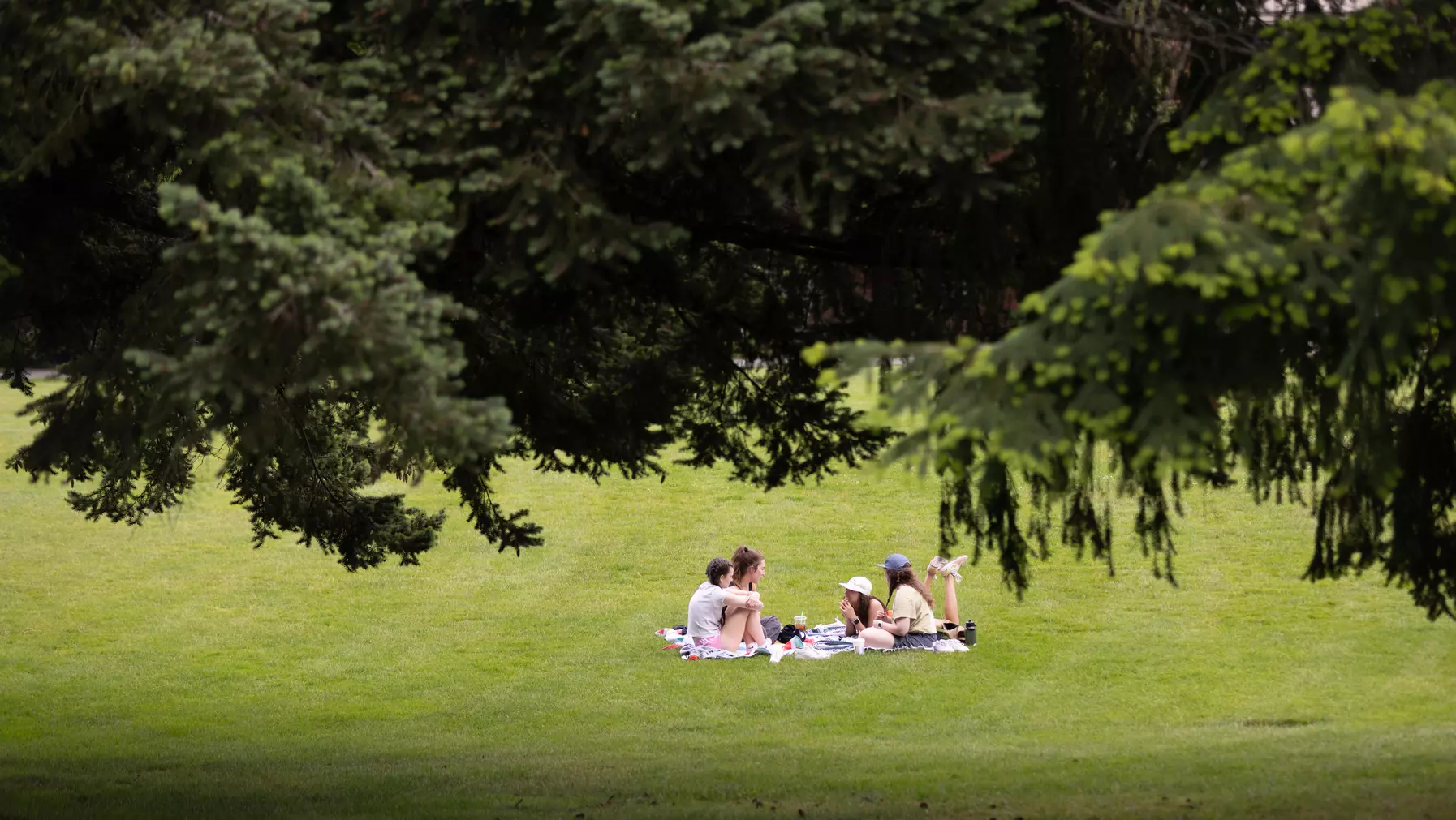 Alumni gather on the grass during Summer Reunion Weekend 2024.