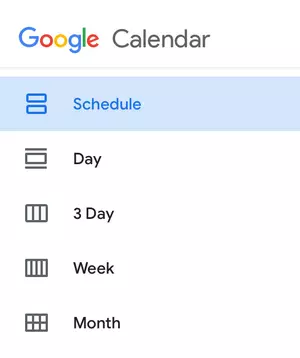 google calendar display options