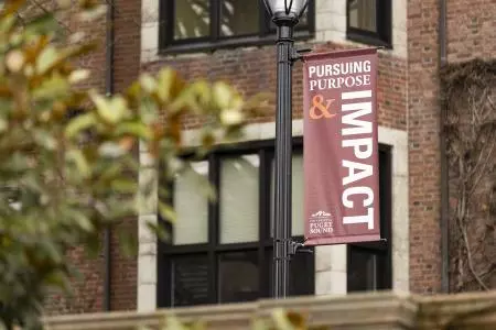 Purpose & Impact lamp post banner